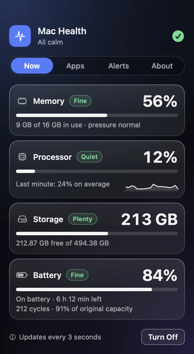 Mac Health: memory, processor, storage and battery, all calm
